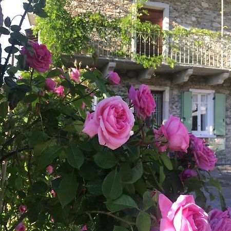 Ma Maison Art Villa Brovello-Carpugnino Exterior foto