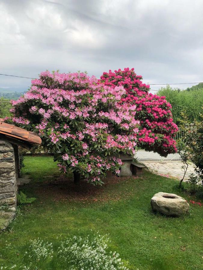 Ma Maison Art Villa Brovello-Carpugnino Exterior foto